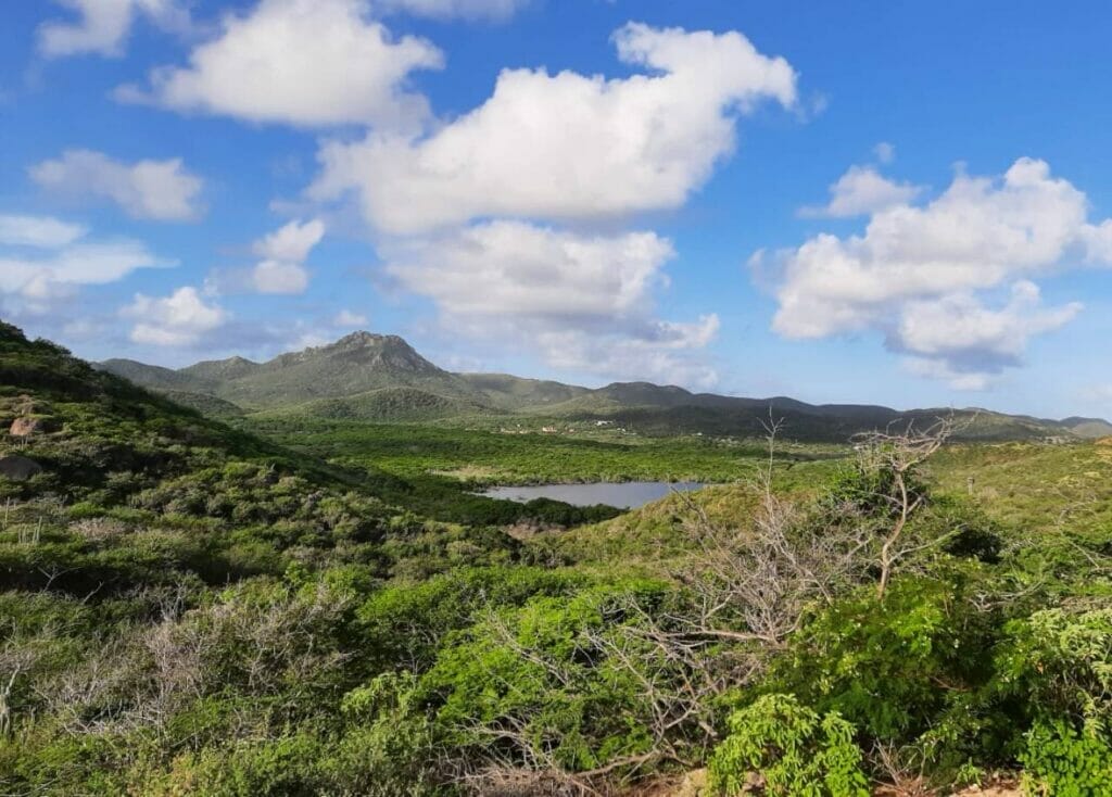 Nature Reserves Unveiling Curaçao's Pristine Wilderness