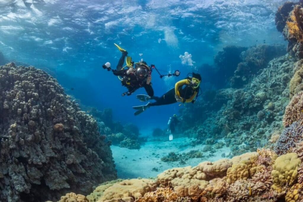 Scuba Diving Discovering Underwater Treasures