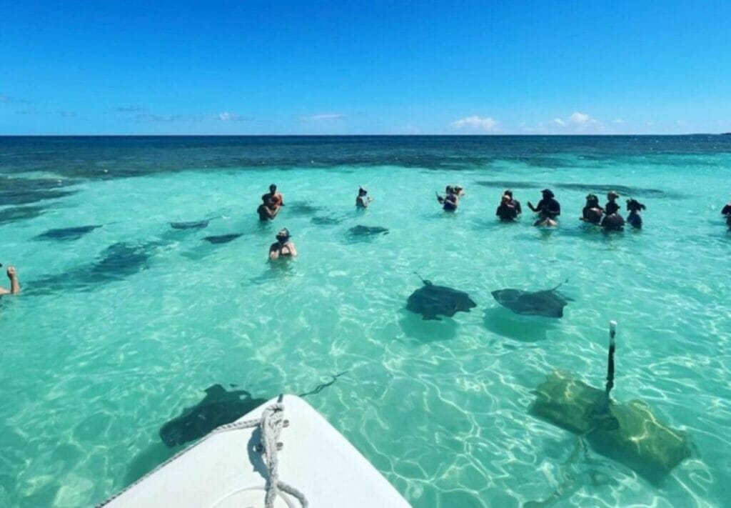 Stingray City Close Encounters with Gentle Giants