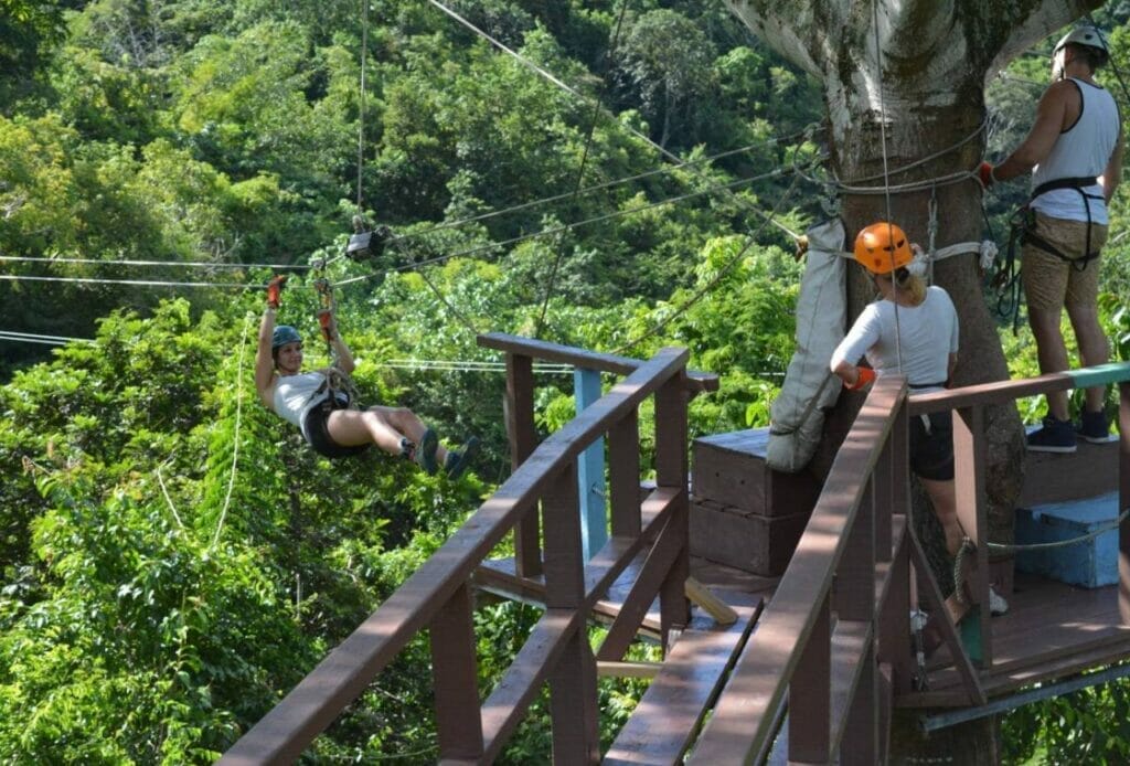 Zip-lining in the Rainforest: Soaring through the Canopy
