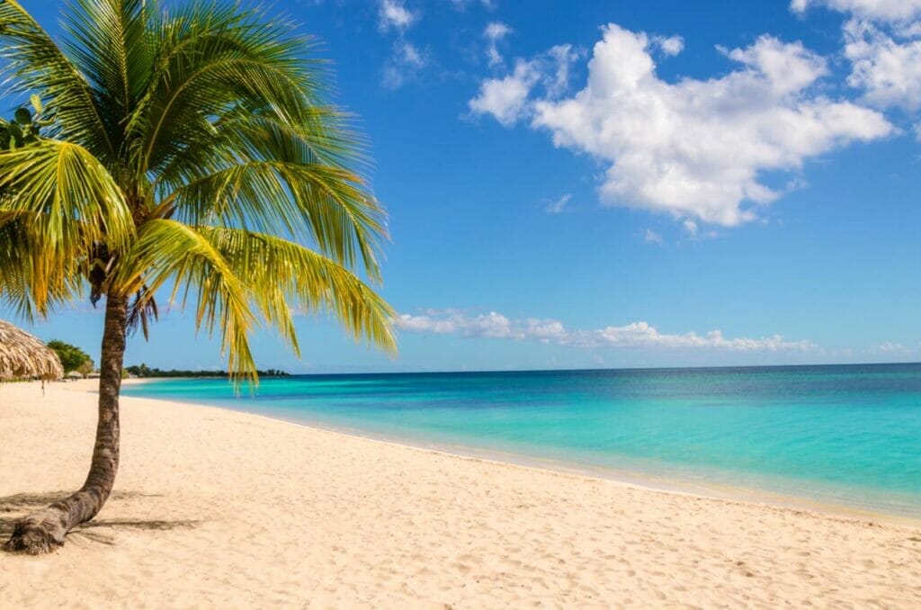 beaches