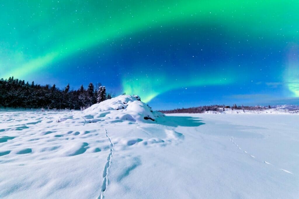 Chasing the Spectacular Northern Lights